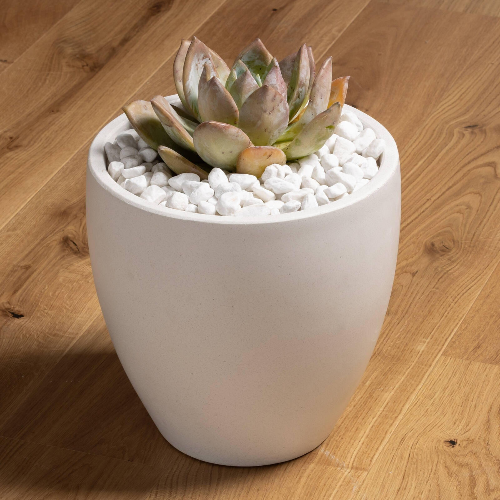 Tuscan Path 2kg 15-20mm Decorative White Pebbles - Bright Garden Stones