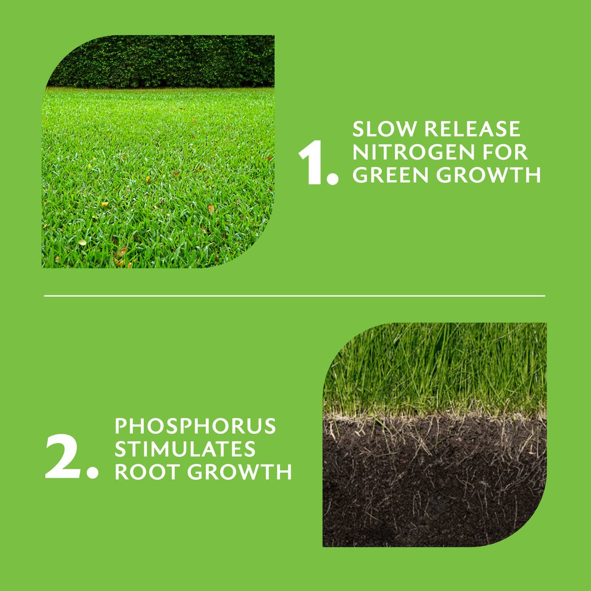 Munns Professional Golf Course Green Lawn Fertiliser 2.4L - Slow Release Nutrients - Covers 220 m² - SuperSaverAU - view 4