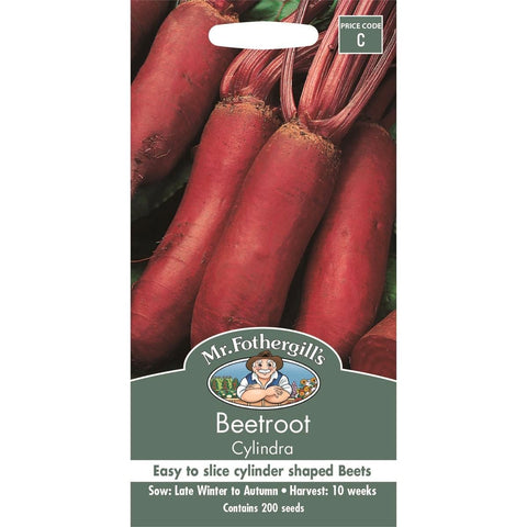 Mr Fothergill Cylindra Beetroot Seeds 12 Weeks Easy To Grow - SuperSaverAU - view 1