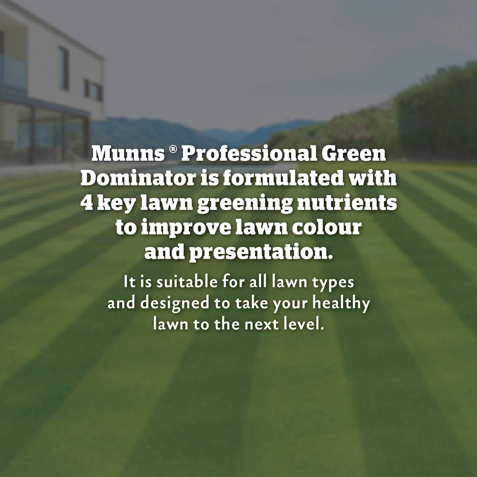 Munns Professional Green Dominator Lawn Fertiliser 2.4L Hose-On, 200sqm All Lawns