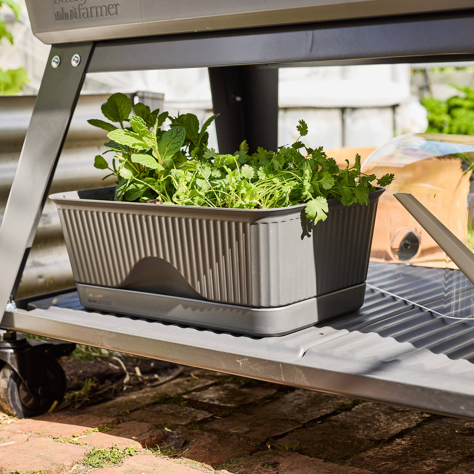 Backyard Farmer Lula Mini Greenhouse, Grey Seed Propagator