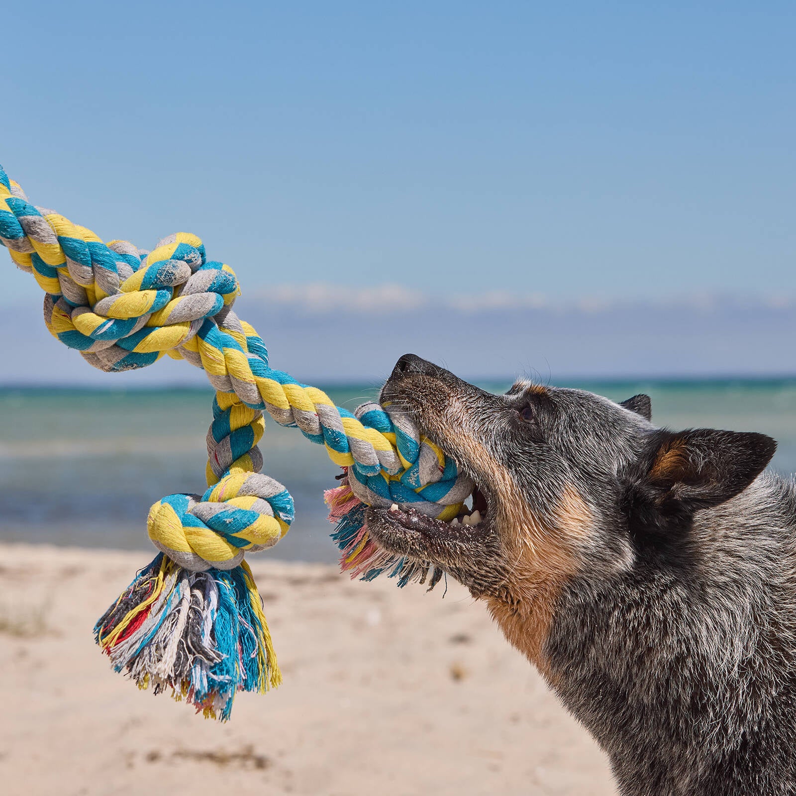 Happy Tails XL Rope Tug Dog Toy 56cm - Thick Tough Rope for Larger Dogs