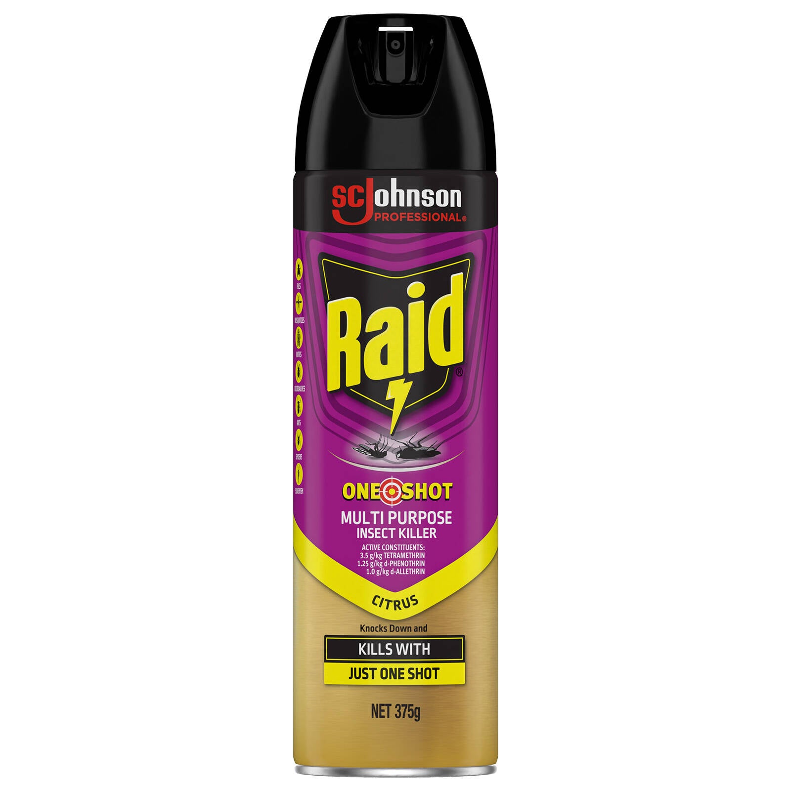 Raid 375g Citrus One Shot Pest Multi Purpose Insect Killer Aerosol Indoor Outdoor
