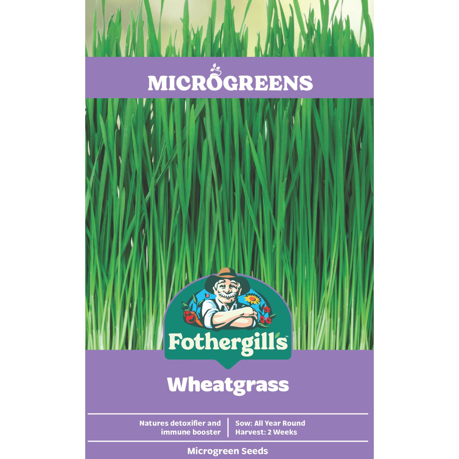 Mr Fothergill's Wheatgrass Seeds Grow Fresh Wheatgrass on the Windowsill