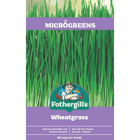Mr Fothergill's Wheatgrass Seeds Grow Fresh Wheatgrass on the Windowsill