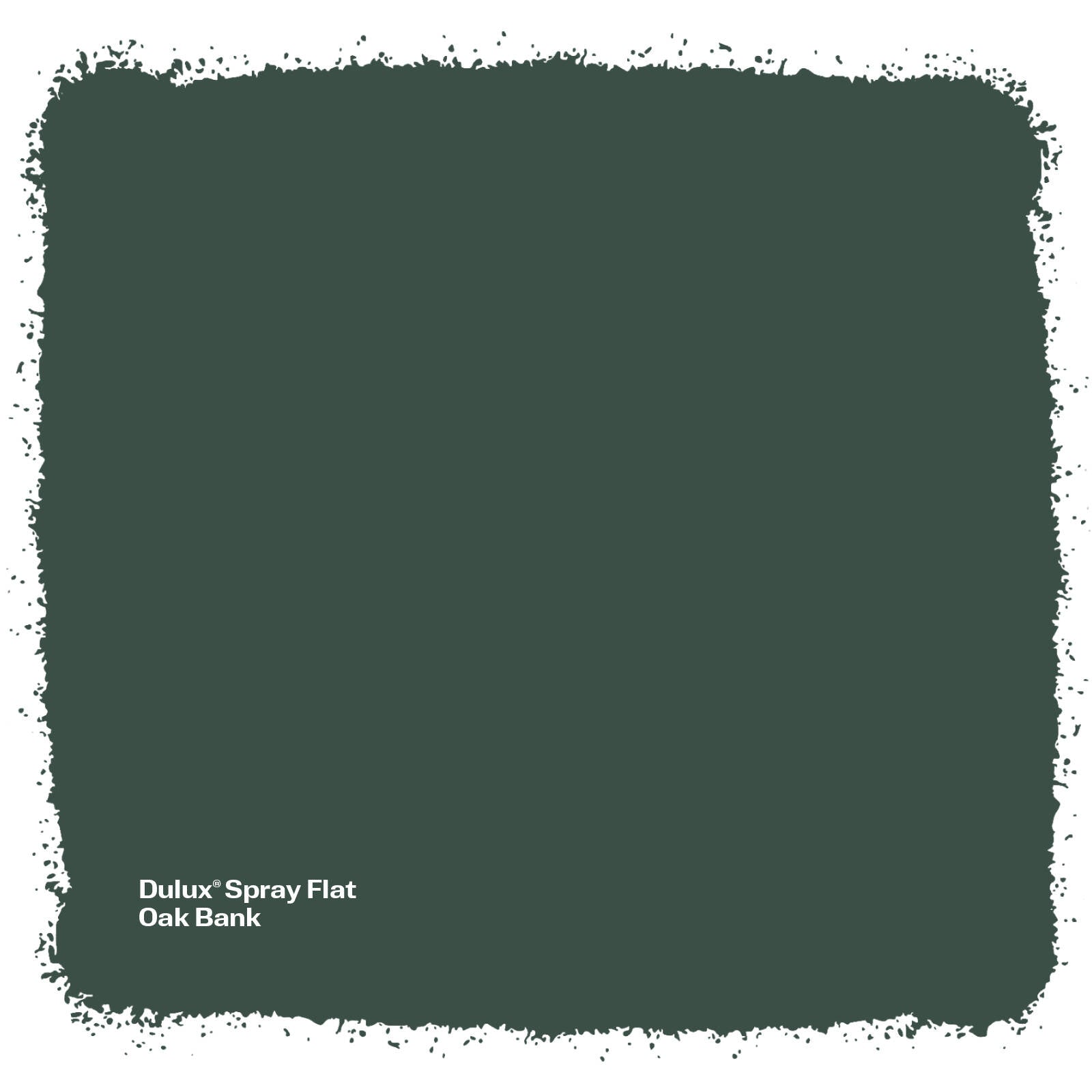 Dulux 340g Oakbank Flat Spray Paint