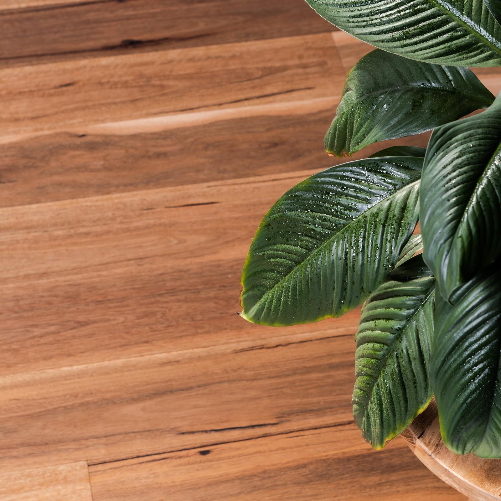 Feast Watson 4L Matt Timber Tung Oil Blend