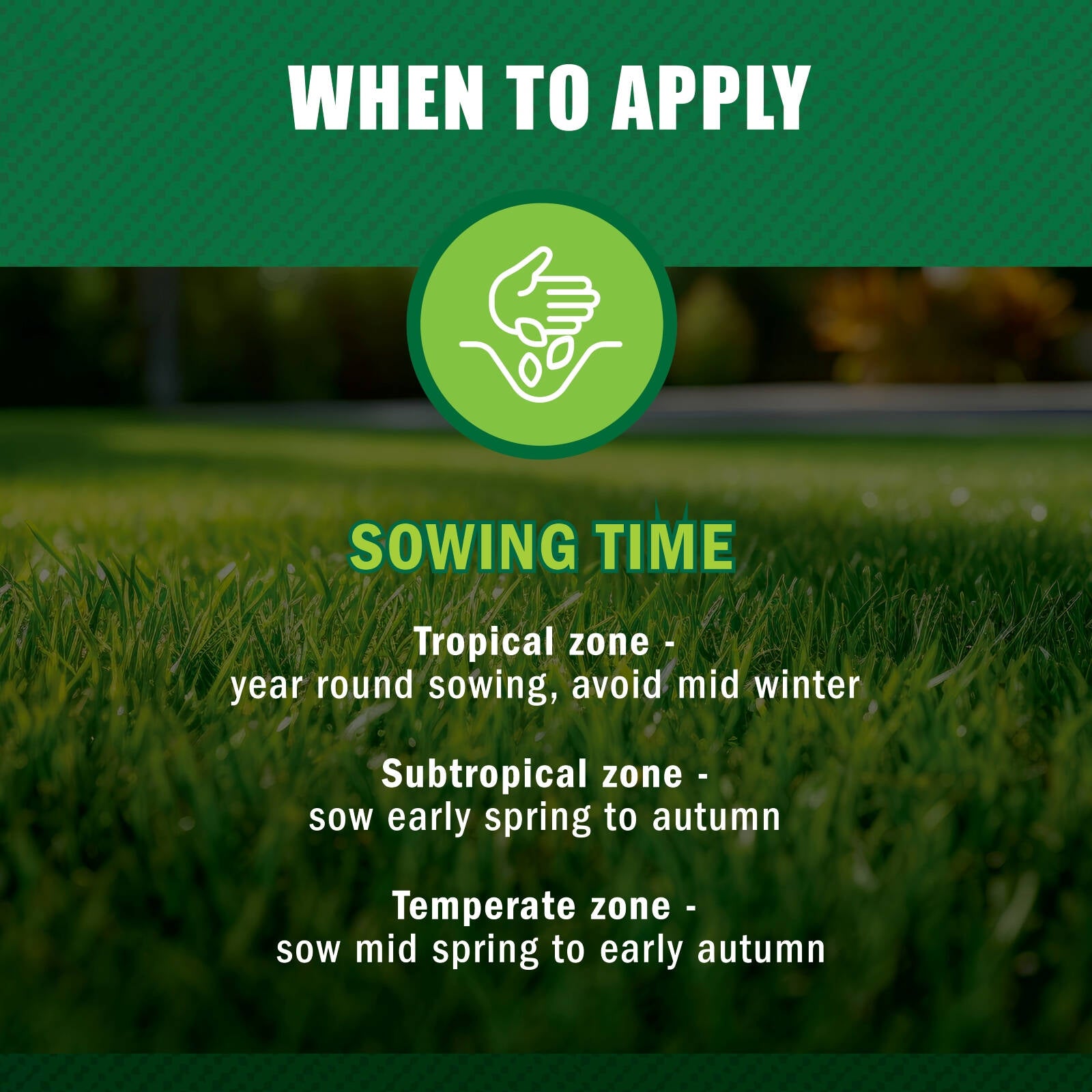 Hortico 500g Couch Lawn Seed, Drought Tolerant Warm Season Grass, Covers 50sqm