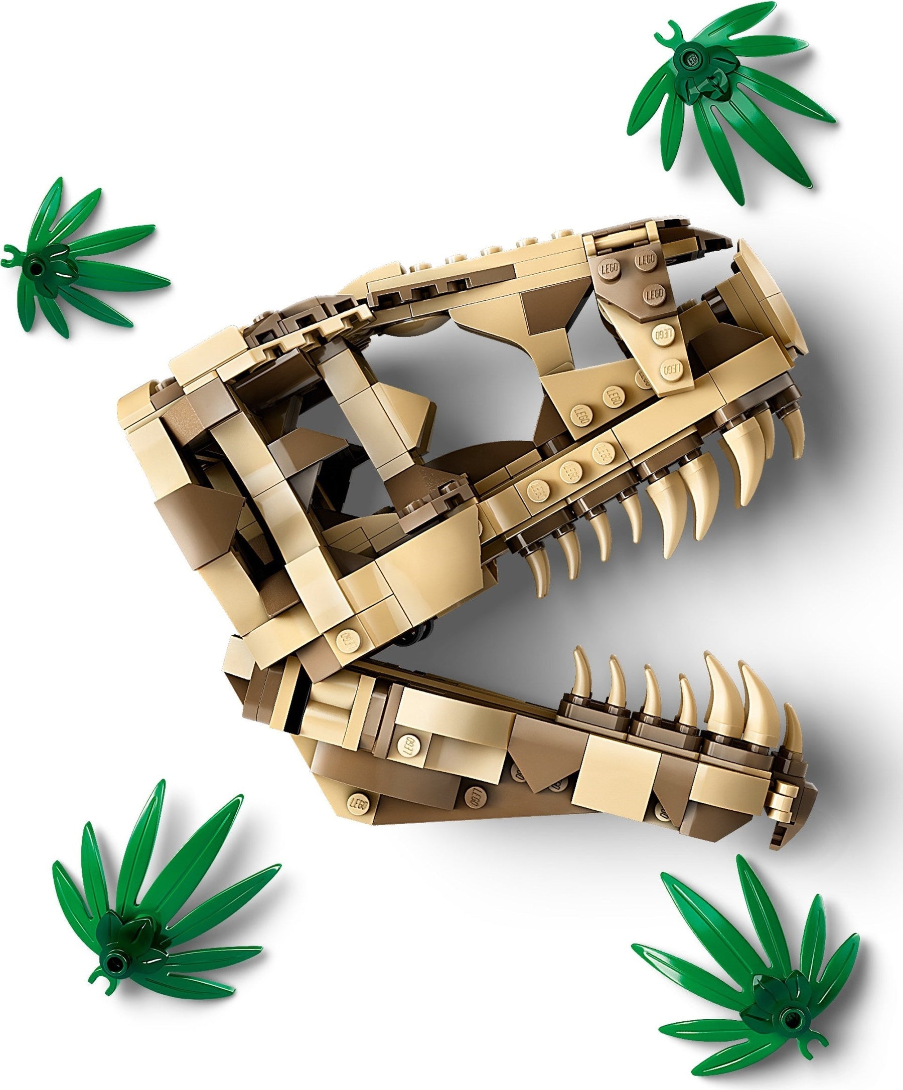 LEGO Jurassic World Series 76964 Dinosaur Fossils: T.rex Skull- Auzzi Store