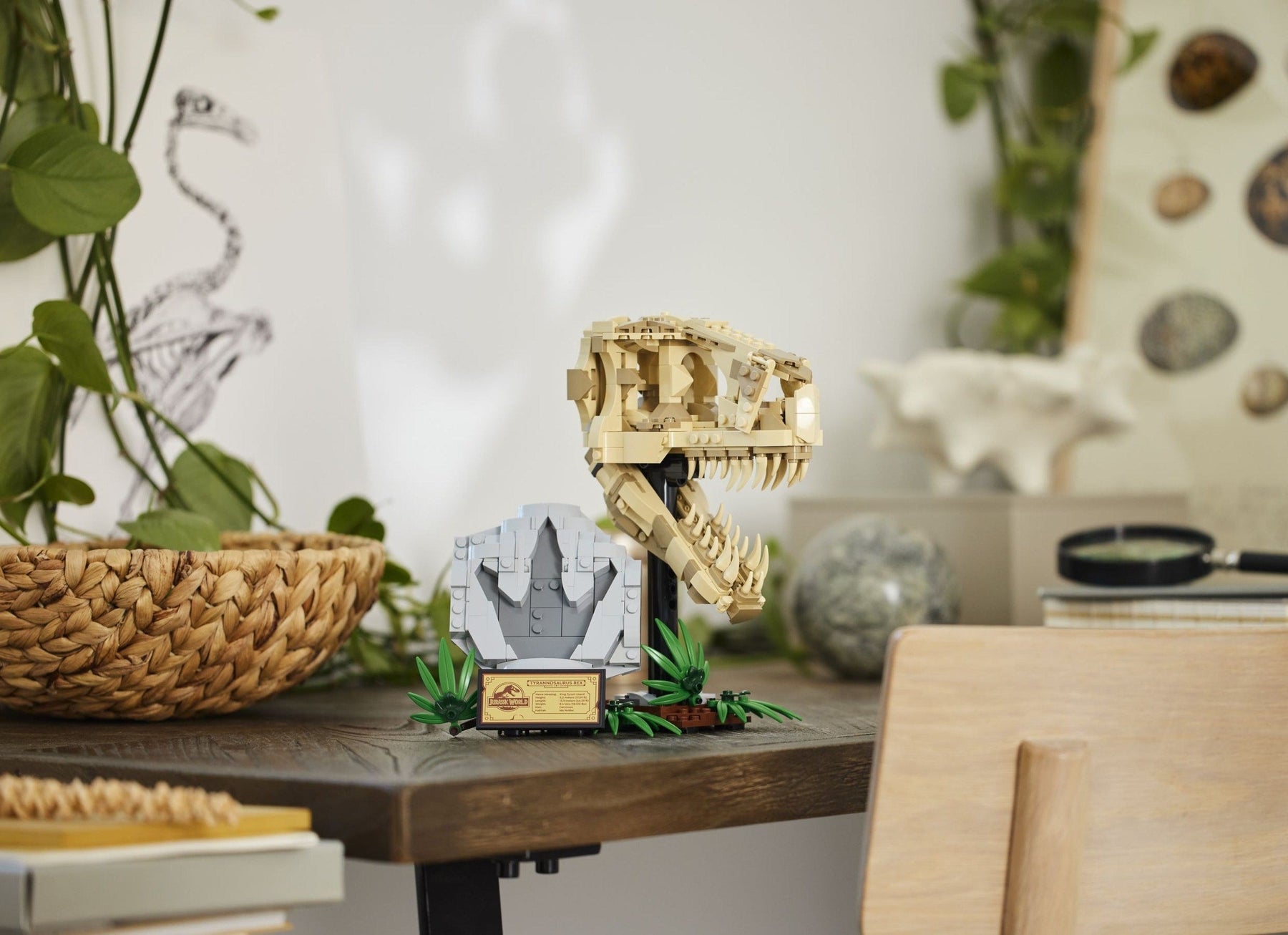 LEGO Jurassic World Series 76964 Dinosaur Fossils: T.rex Skull- Auzzi Store