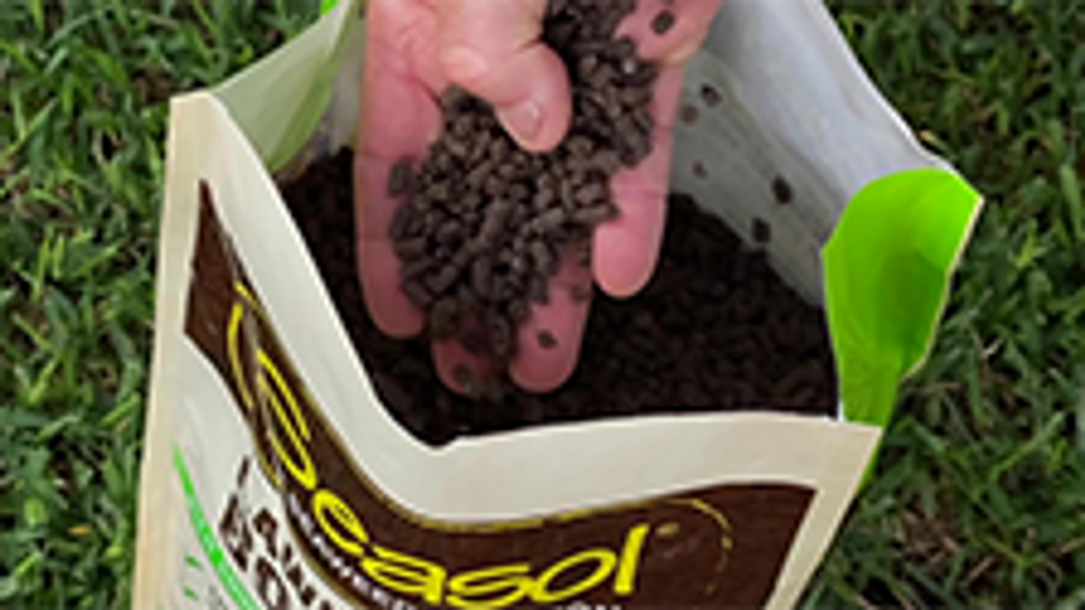 Seasol Lawn + Soil Booster 5kg Granular Time-Release Fertiliser