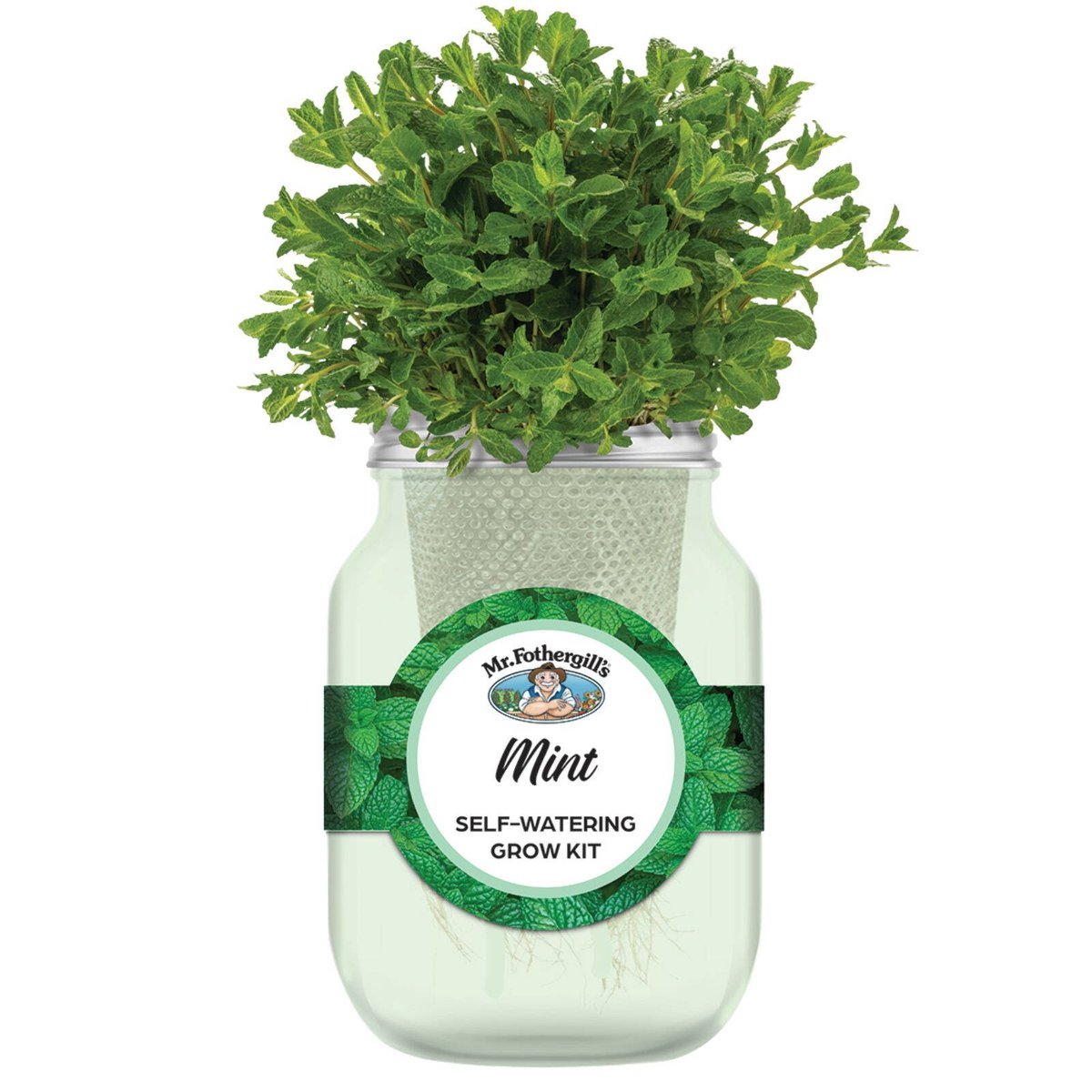 Mr Fothergill's Self Watering Mason Jar Mint Grow Kit - Green Glass, Indoor Herb Kit
