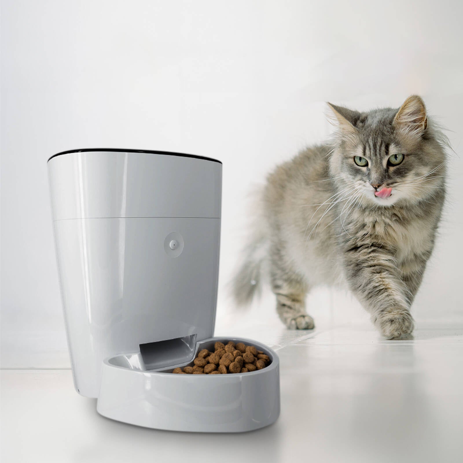 Arlec 4L ABS Automatic Pet Feeder Slow Feeding PF001