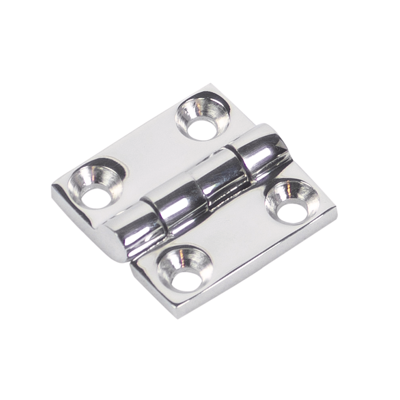 Goliath 38 x 38mm Stainless Steel Hinge Weather Resistant
