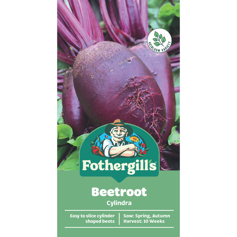 Mr Fothergill's Cylindra Beetroot Vegetable Seeds, Easy to Slice
