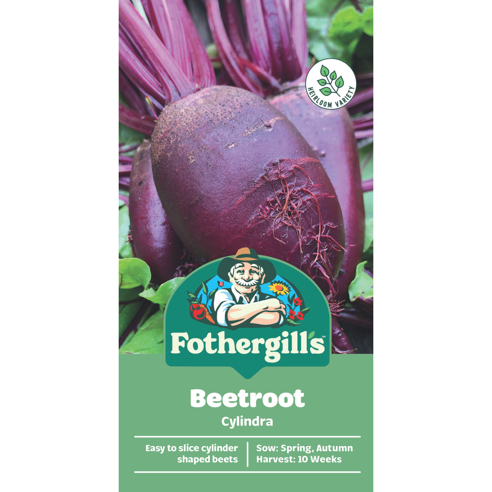 Mr Fothergill's Cylindra Beetroot Vegetable Seeds, Easy to Slice