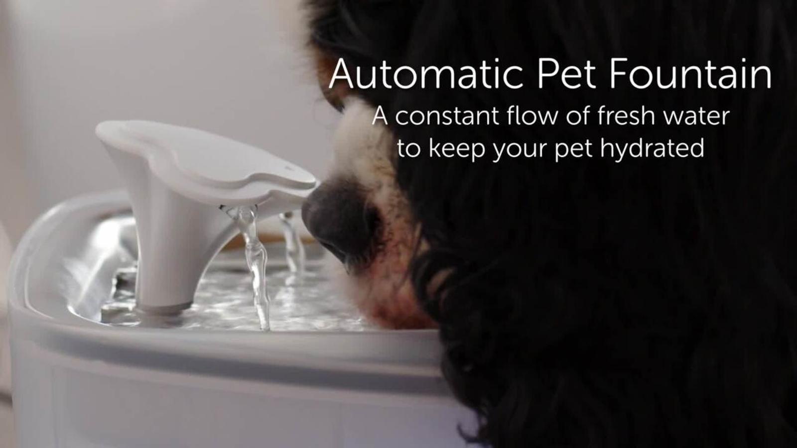 Arlec 4L ABS Automatic Pet Feeder Slow Feeding PF001