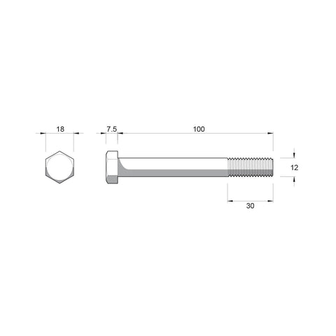 Zenith M12 x 100mm Stainless Steel 304 Hex Head Bolts and Nuts