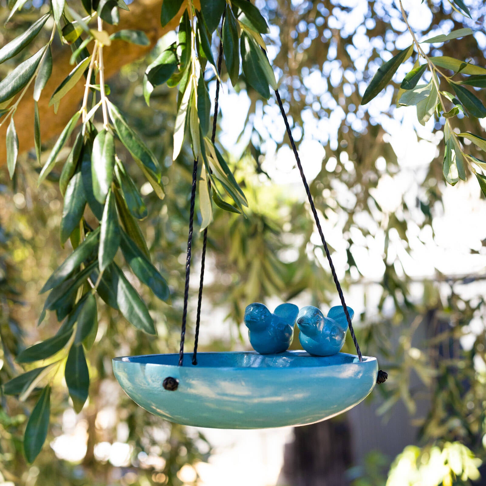 Northcote Pottery 31 x 12cm Teal Seville Bird Feeder Resin