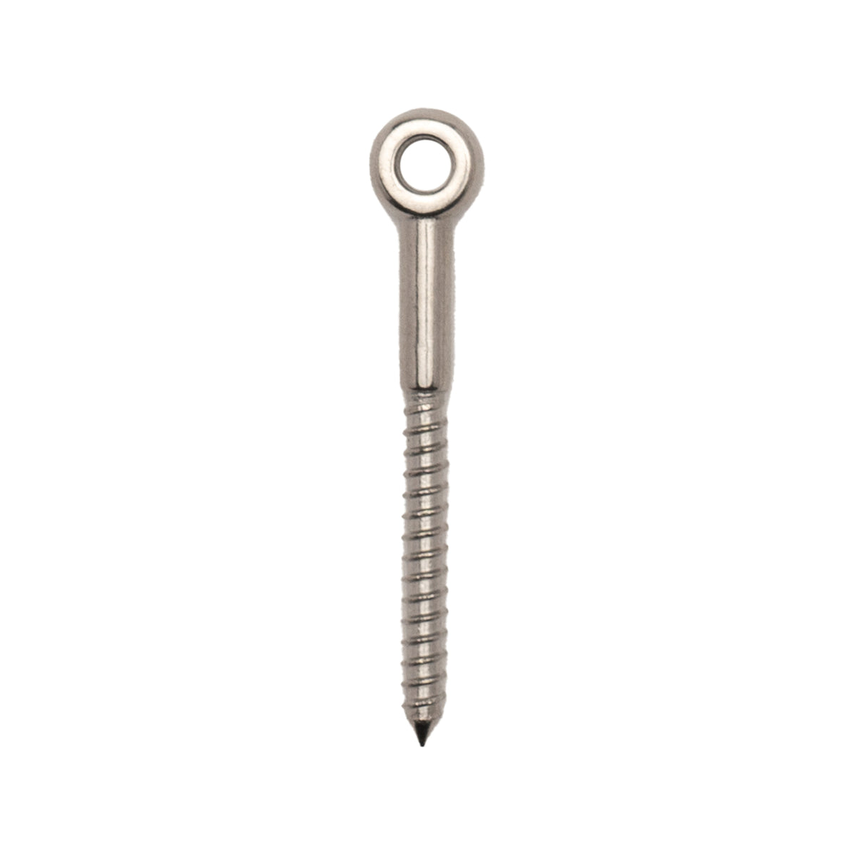 Taskmaster 6mm 316 Stainless Steel Lag Screw - 24 Pack