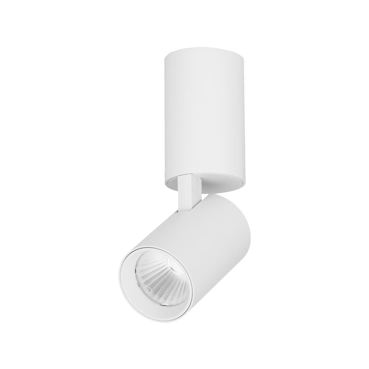 Verve Design Phoebe 15W Adjustable LED Spotlight - White, Hardwired Indoor (SL8298WH)