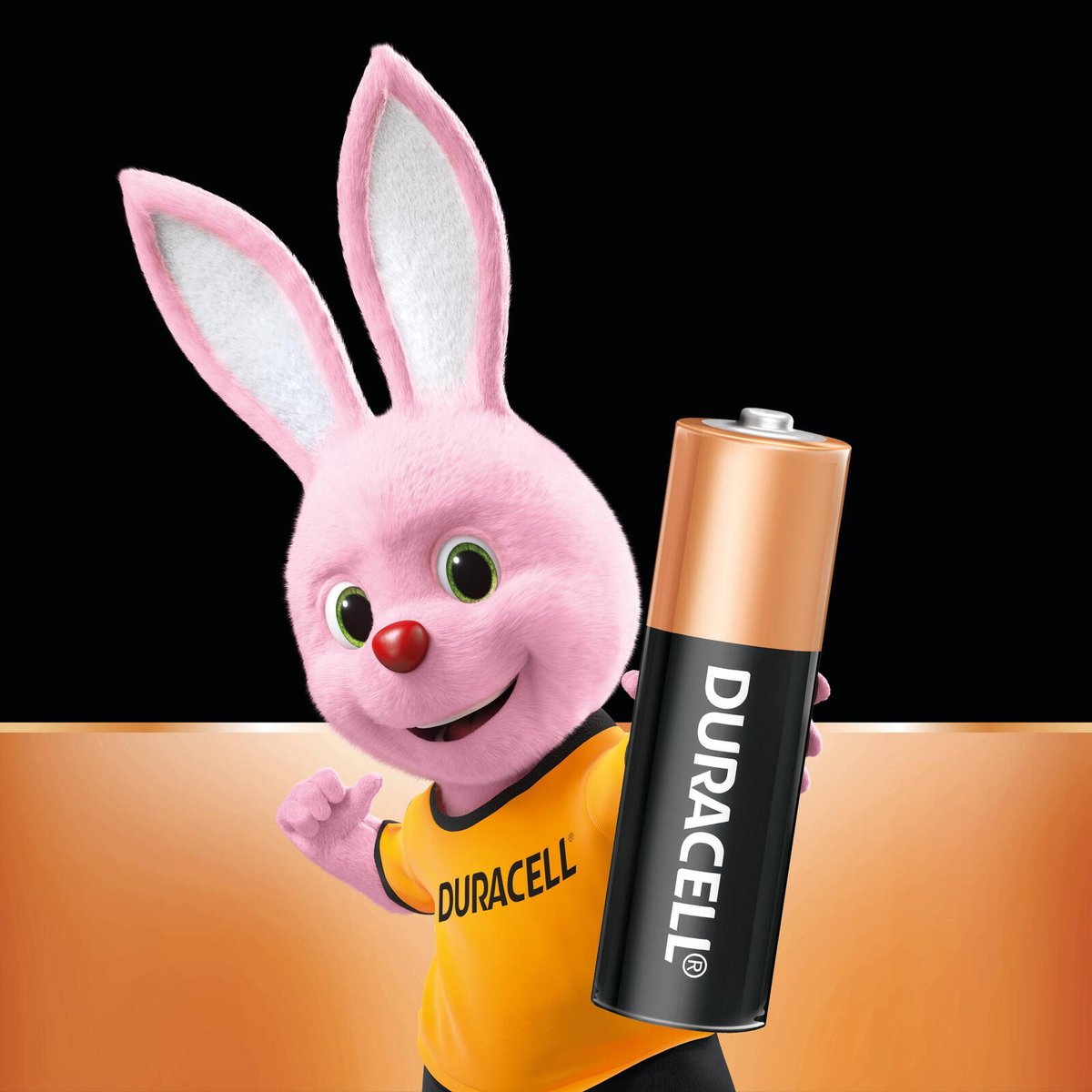 Duracell Coppertop AA Alkaline Batteries - 10 Pack, 1.5V