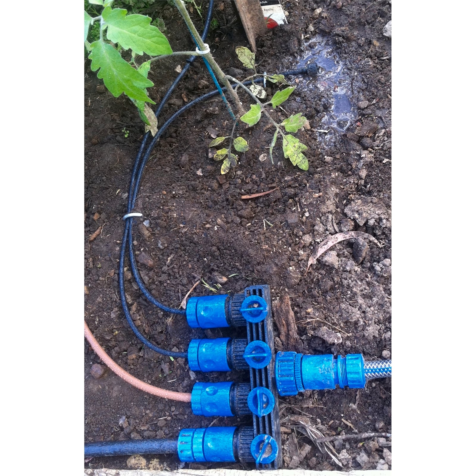 Ladco 4mm Click Poly Irrigation Tube Connector, Easy Click-In Fitting