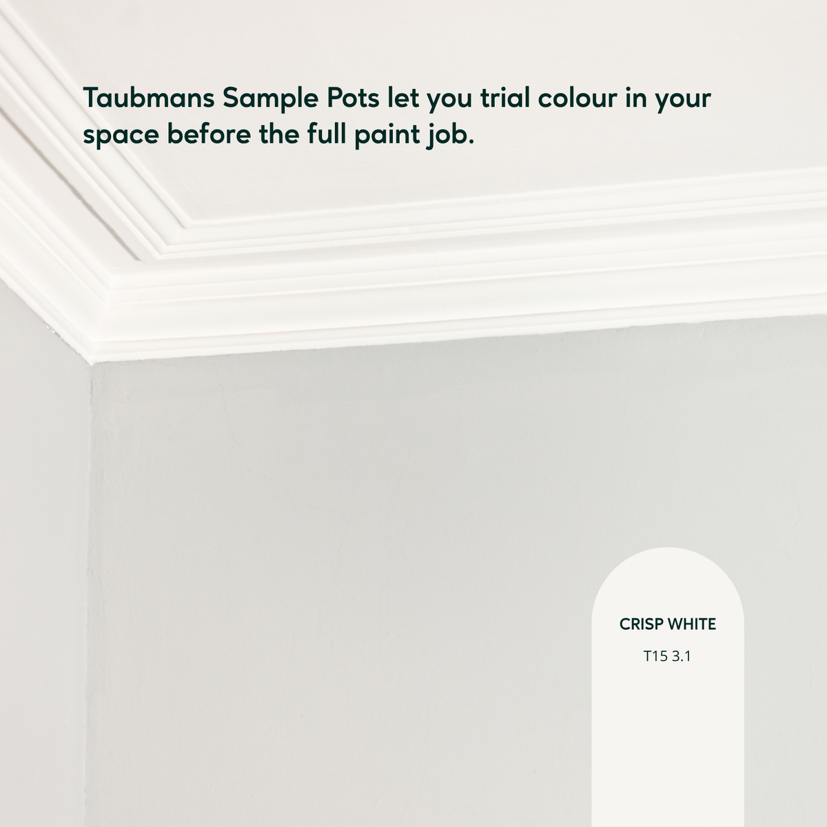 Taubmans Sample Pot 250ml White Water Based Acrylic