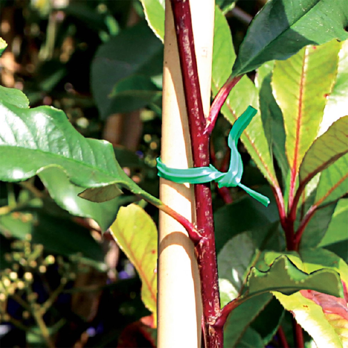 Jack Handy Twist Plant Ties 200mm Green - 200 Pack