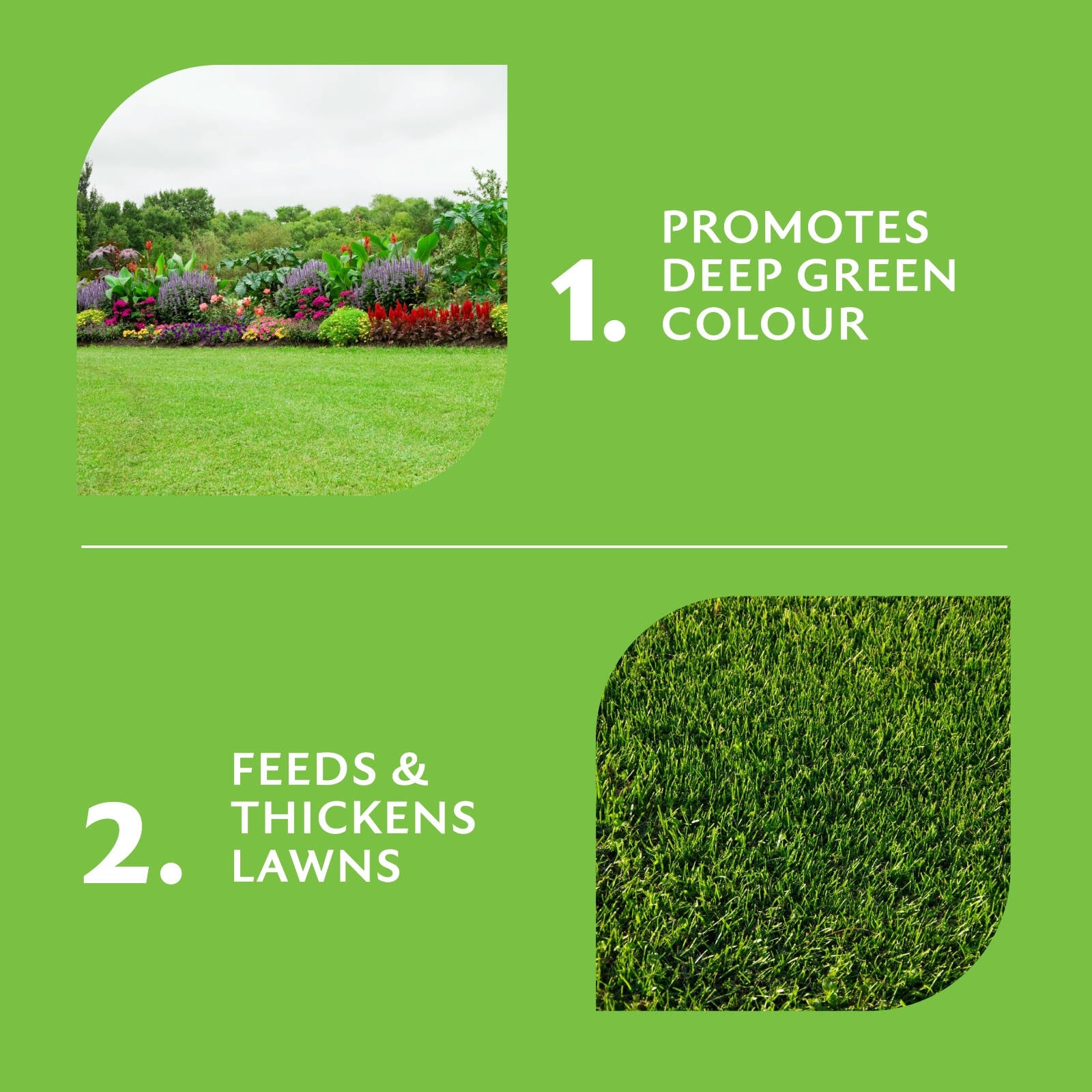 Munns Professional Green Dominator Lawn Fertiliser 2.4L Hose-On, 200sqm All Lawns