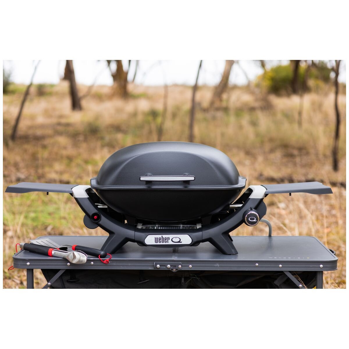Weber Q2000N Portable LPG BBQ - Large Cooking Area, Front-Facing Grease Tray, Black - 28310024
