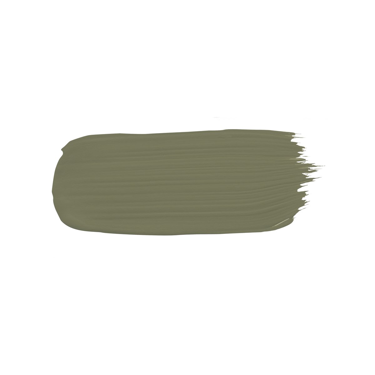 Porter's Paints Broadwall 100ml Timberline Eggshell Wall Paint