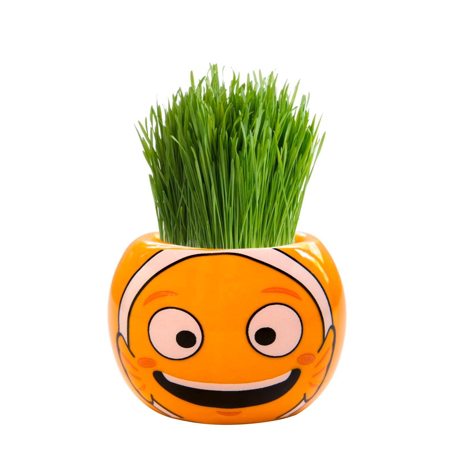 Mr Fothergill's Grass Hair Clown Fish Grow Kit