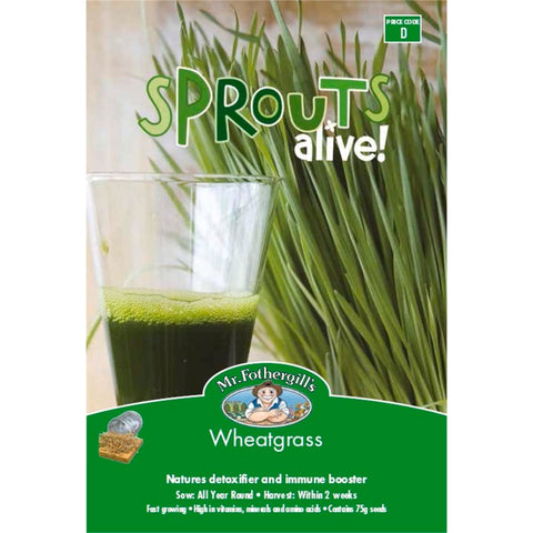 Mr Fothergill Wheatgrass Seeds 75mm Superfood Detoxifier Immune Booster - SuperSaverAU - view 1