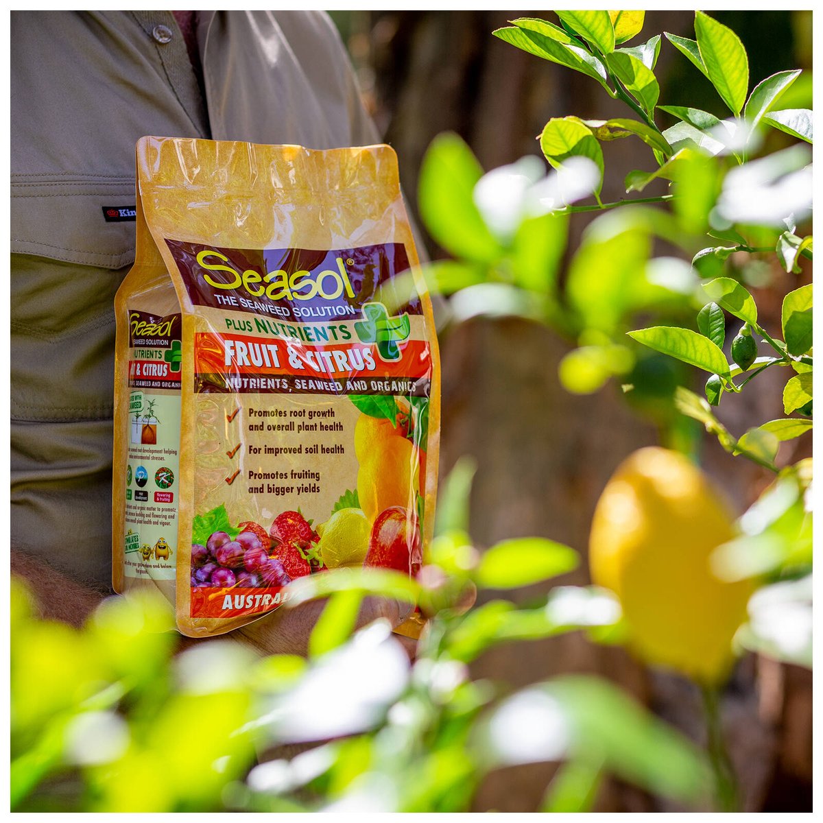 Seasol Plus Nutrients Fruit & Citrus 2.5kg Granular Time-Release Fertiliser