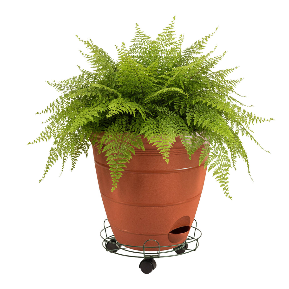 Eden 33cm Round Pot Plant Trolley with Rails, 35kg Capacity, Indoor & Outdoor
