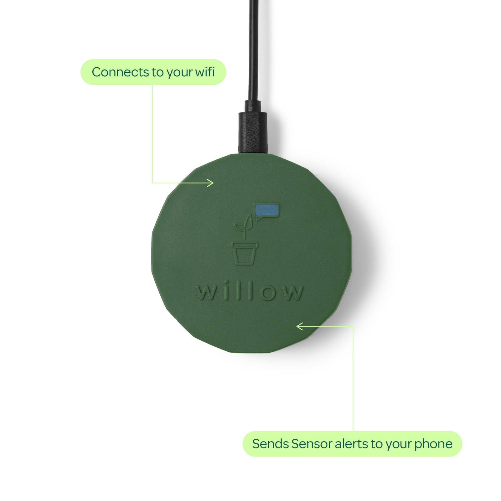Plant with Willow Smart Indoor Plant Sensor Moss, Bluetooth Monitoring