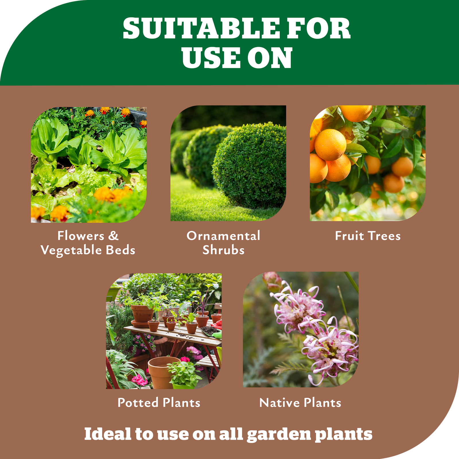 Yates 7kg Dynamic Lifter Organic Plant Food & Soil Improver Pellets for All Plants