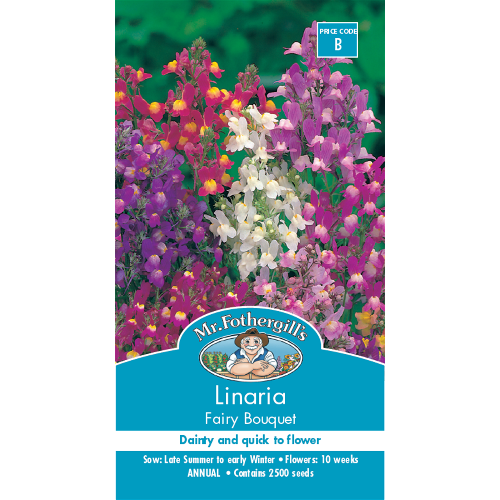 Mr Fothergill's Linaria Fairy Bouquet Flower Seeds - Dainty Snapdragon-Style Annual, 20cm