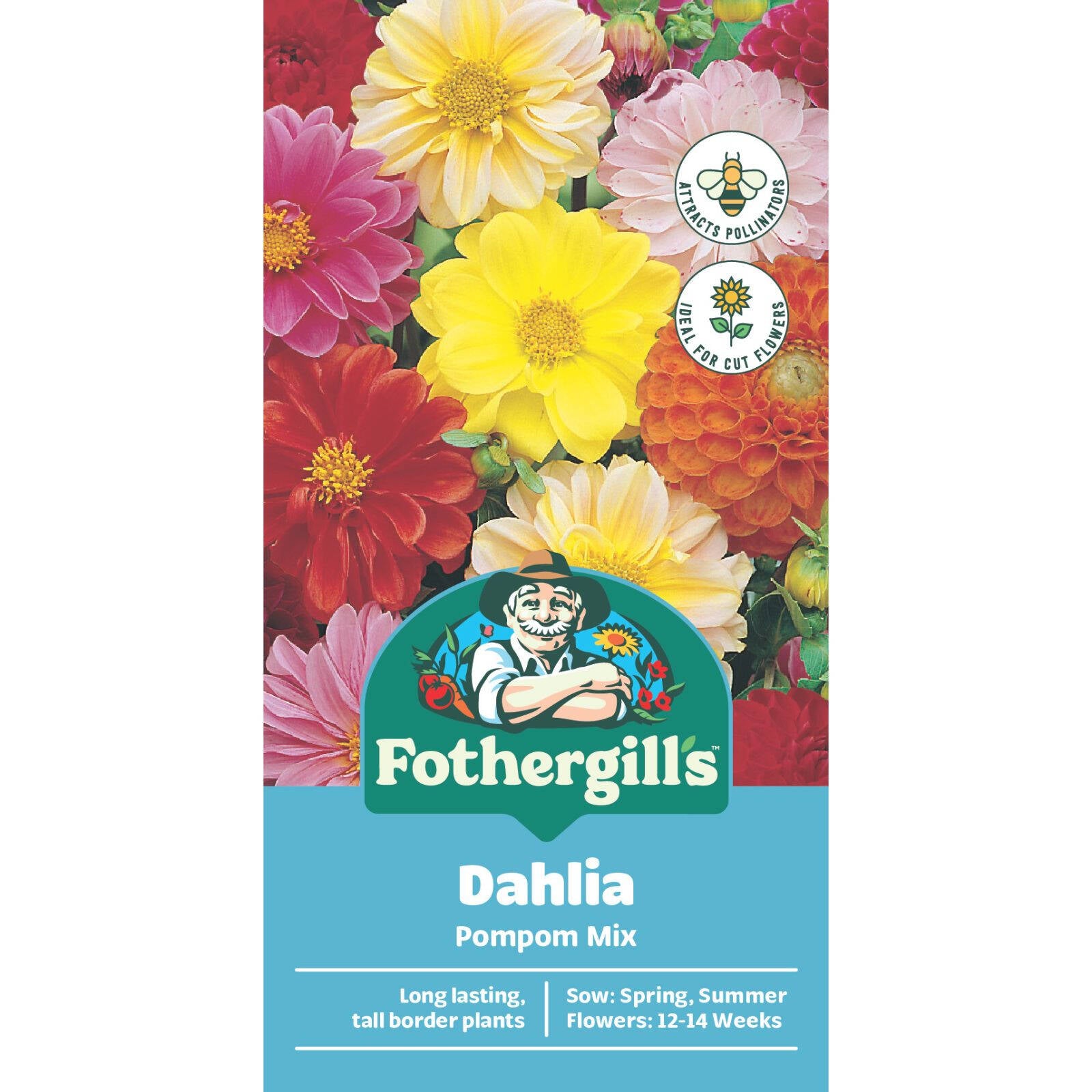 Mr Fothergill's Dahlia Pompon Mix Seeds