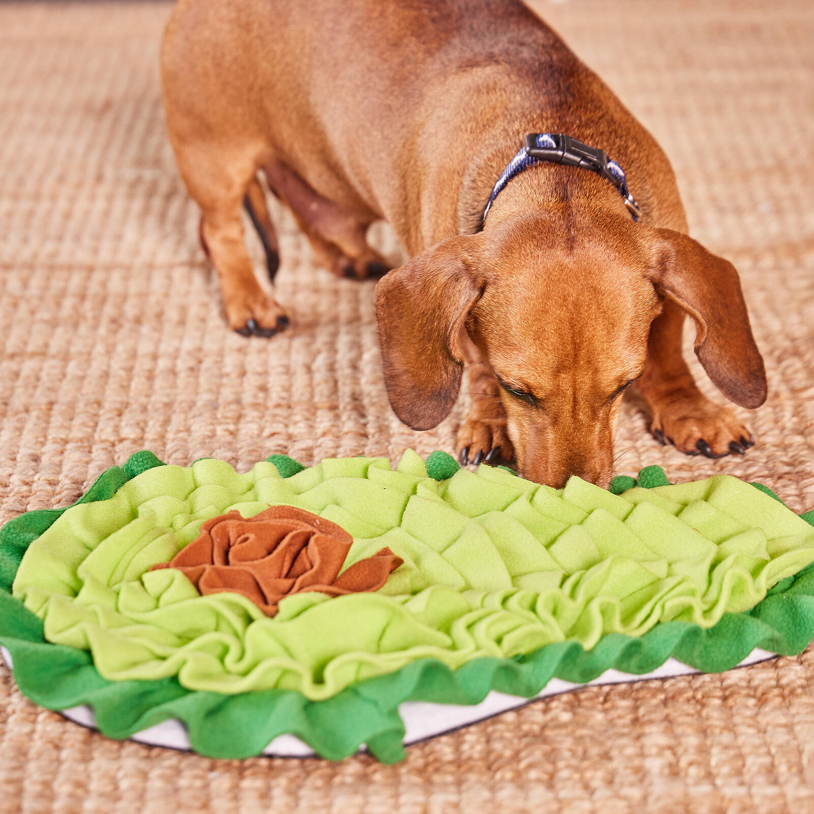 Happy Tails 200 x 550mm Avocado Snuffle Mat for Dogs