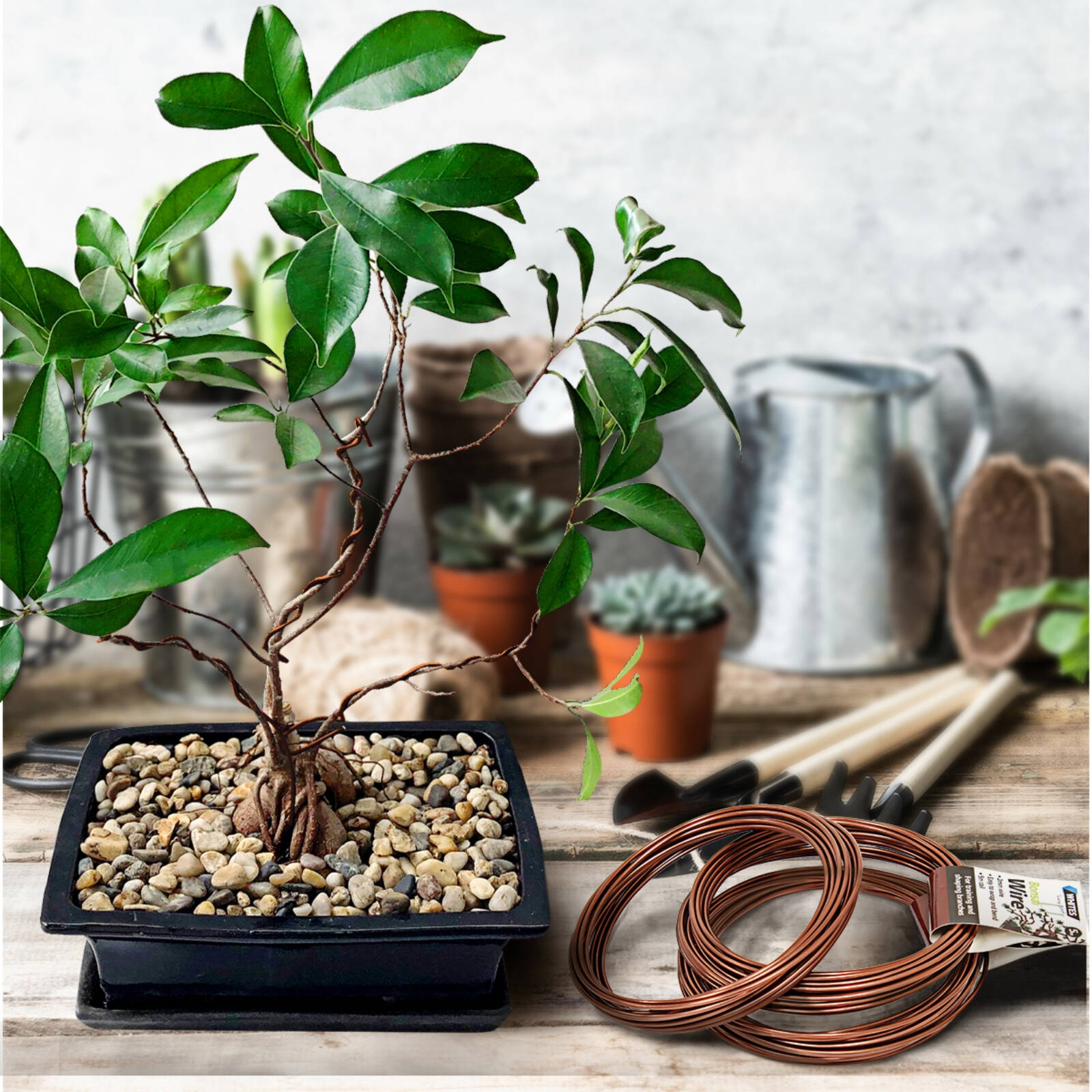 Jack Bonsai Branch Training Wire, 3 Pack (1.5mm, 2mm, 4mm)