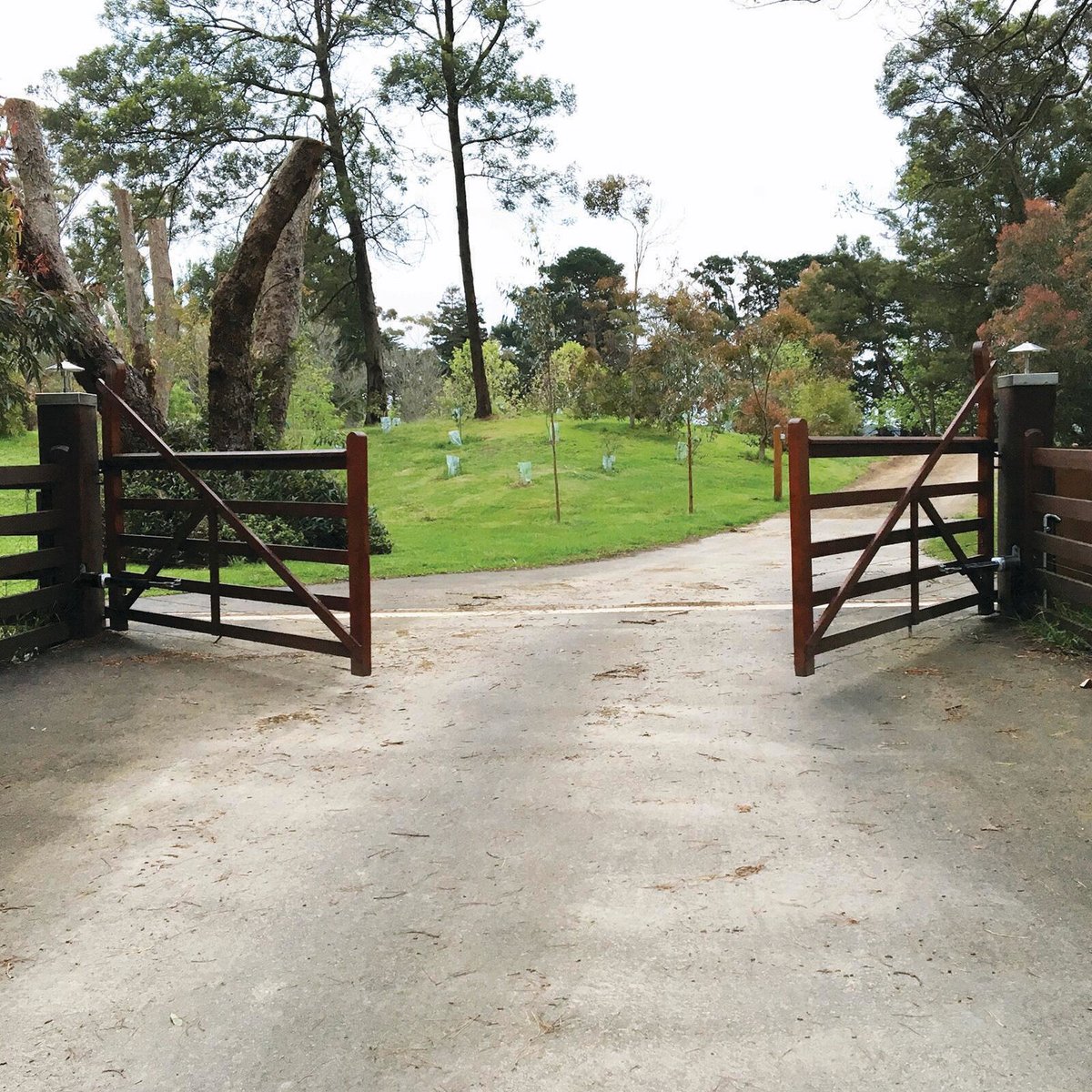 Richmond Automatic Gate Opener for Double Swing Gates Double Arm GTR058