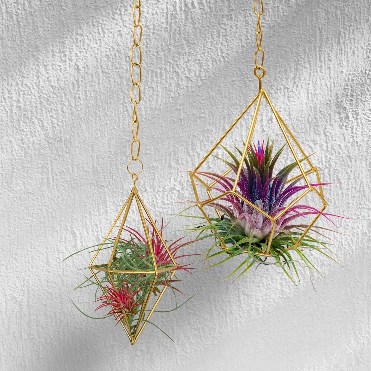 Jack Diamond Hanging Planter - 1 Pack - 65mm x 120mm - Gold - SuperSaverAU - view 2