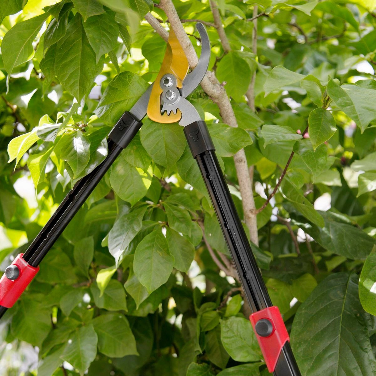 Trojan 600mm Geared Telescopic Bypass Lopper