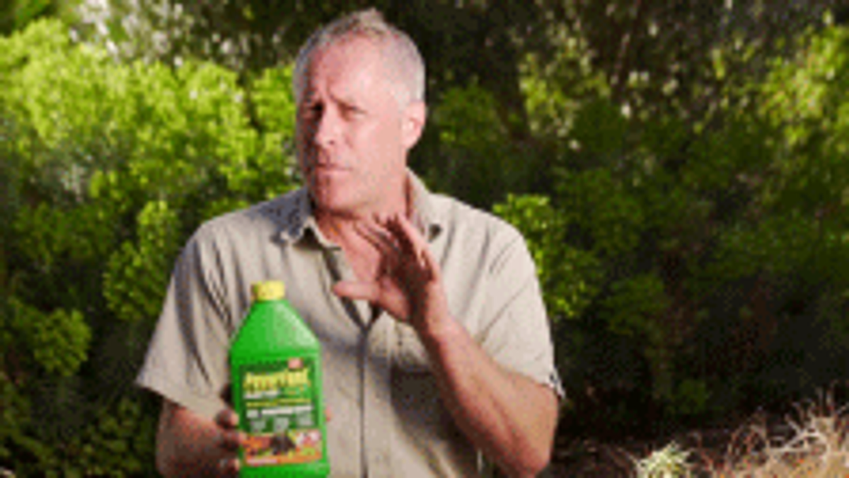 PowerFeed 1.2L All Purpose Liquid Fertiliser & Soil Conditioner Concentrate