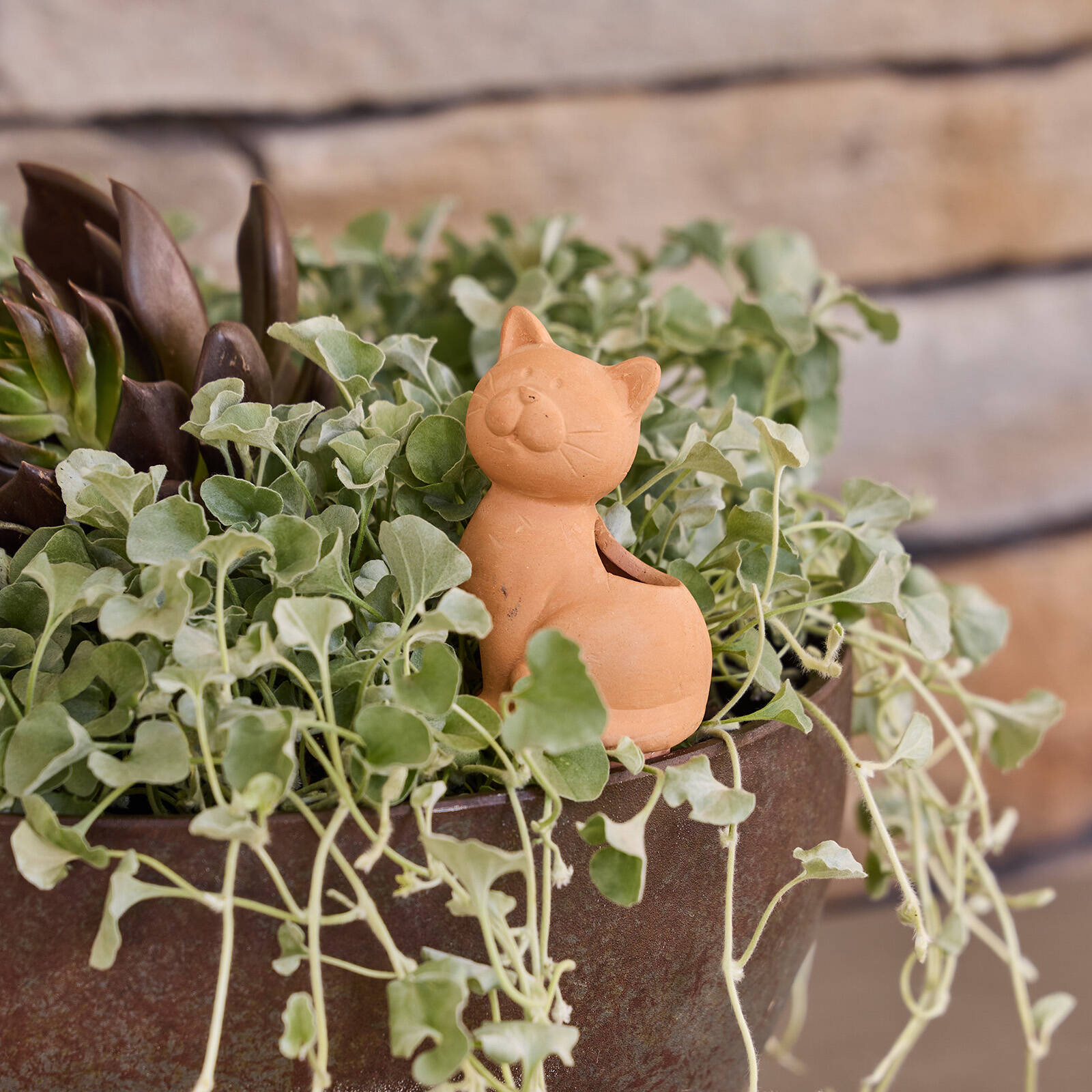 Northcote Pottery 14.6cm Terracotta Cat Self-Watering Garden Pot Reservoir Stake