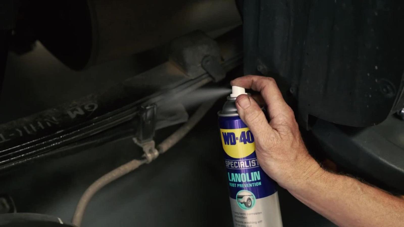 WD-40 Specialist 300g Rust Prevention Lanolin