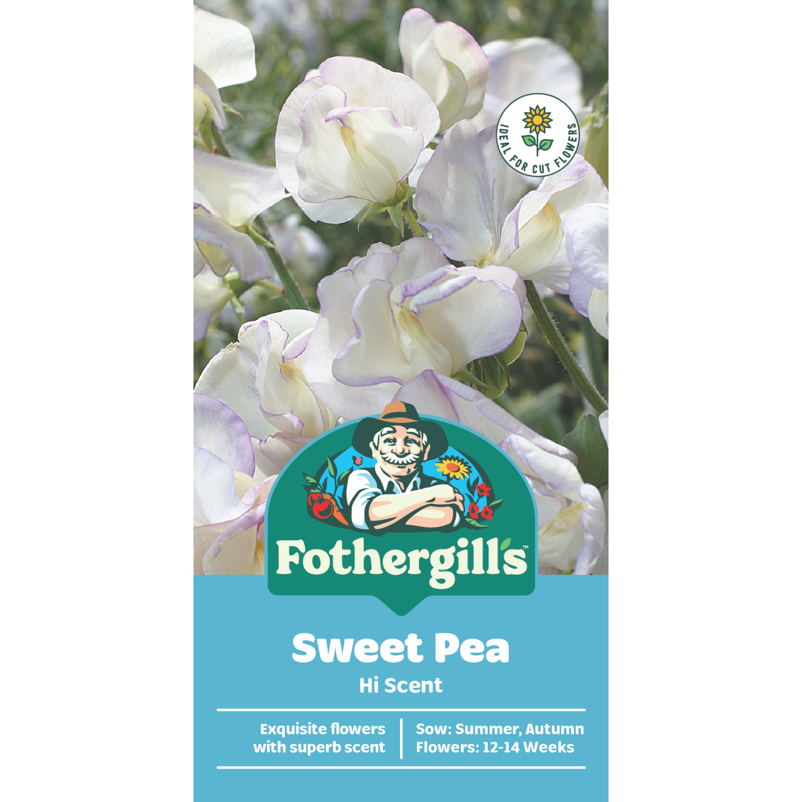 Mr Fothergill's Hi Scent Sweet Pea Flower Seeds Fragrant Climber 180cm