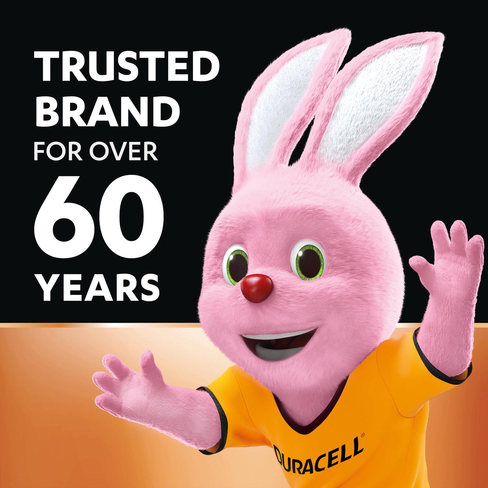 Duracell Everyday Alkaline AA 1.5V Batteries - 20 Pack